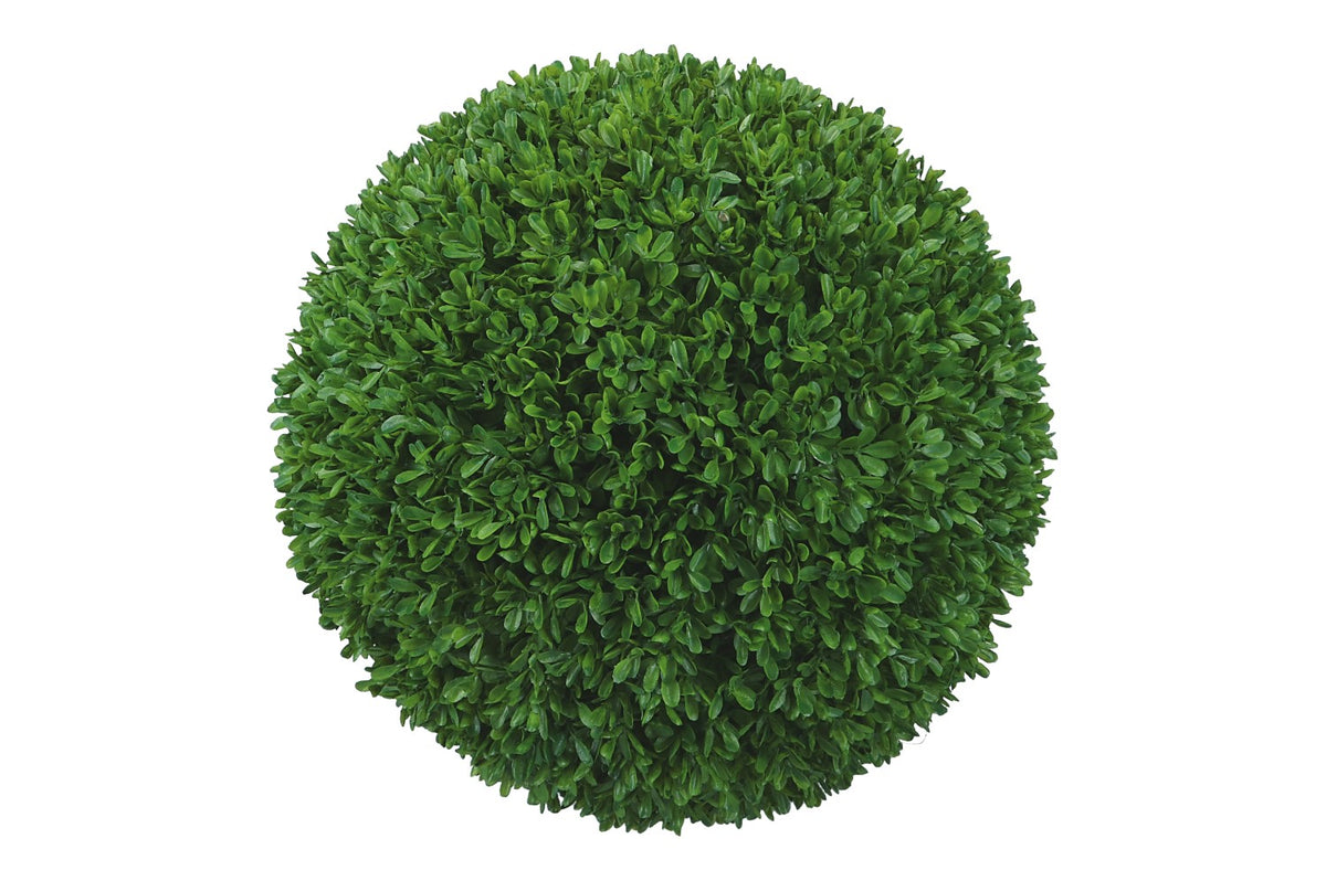 Buchskugel Ø 26cm, 1 Stück