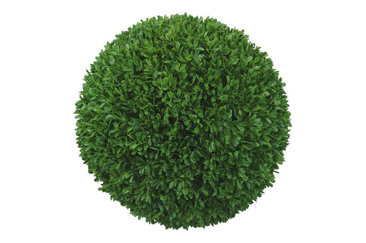 Buchskugel Ø 26cm, 1 Stück