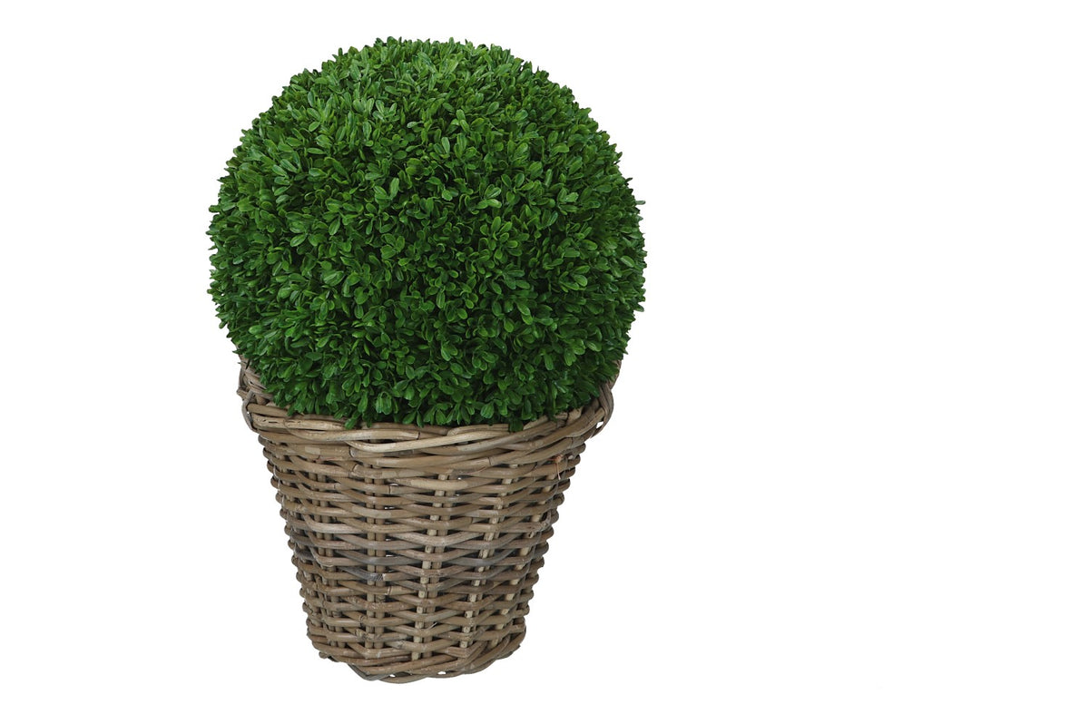 Buchskugel Ø 35cm, 1 Stück