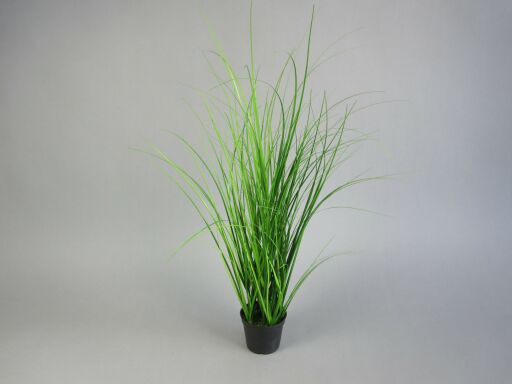 Gras im Plastiktopf, H 61cm, 1 Stück