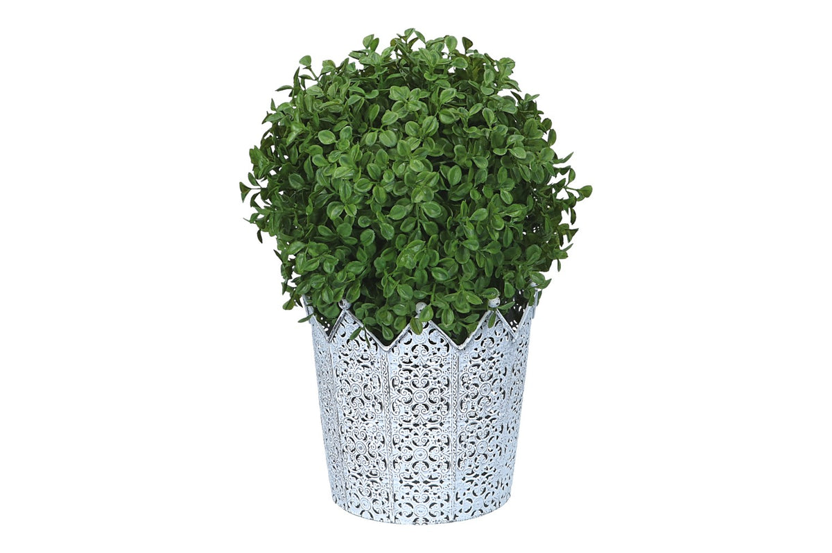 Buchskugel Ø 21cm, 1 Stück