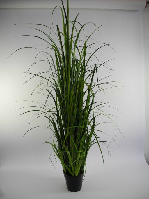 Gras im Platasiktopf mit Moos H190cm