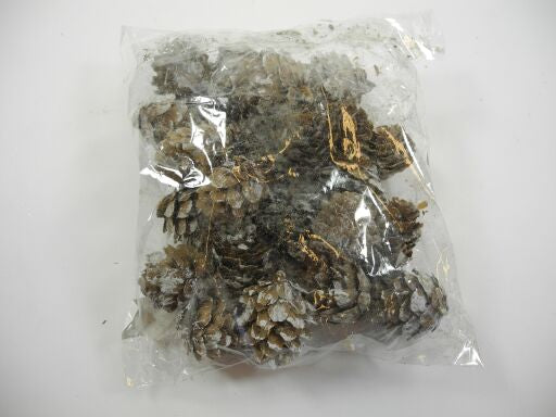 Zapfen zum Streuen 2-3cm, Ve. 72 Stk