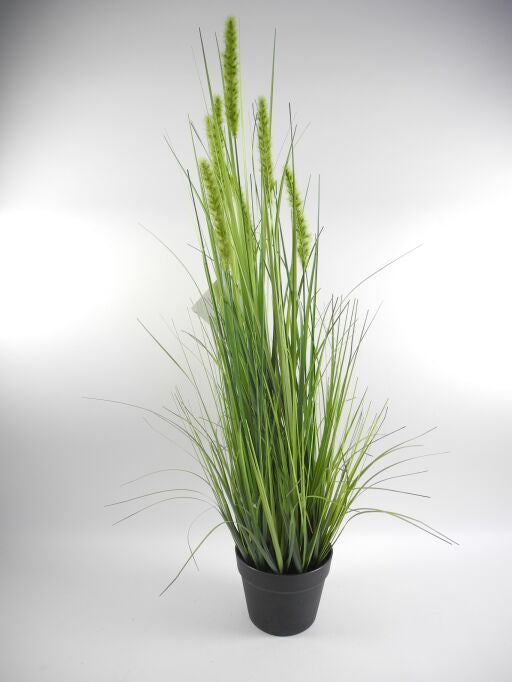 Gras im Topf, Höhe 89cm, grün, 1 Stück
