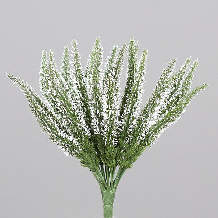 Erika / Calluna H26cm, Ve. 1 Pick