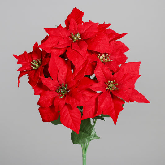 Poinsettia-Busch mit 7 Blüten H46cm