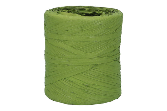 Poly Raphia Band 15mm, 200m Fb.41