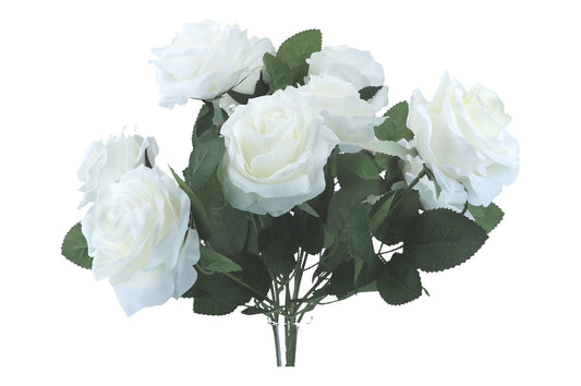 Rosa Dijon Bush 42cm, 1 Bush =10 Rosen