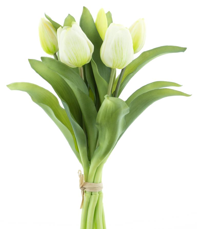 Tulpenbündel 31cm, Ve. 1 Bund