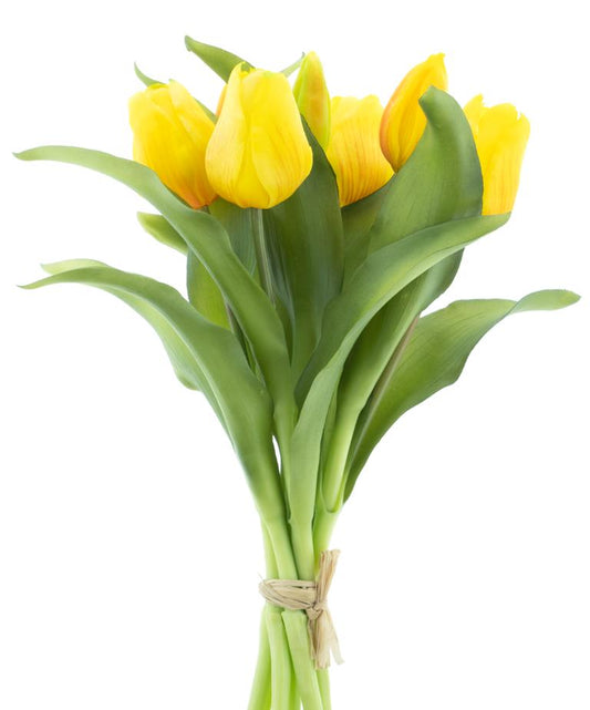 Tulpenbündel 31cm, Ve. 1 Bund