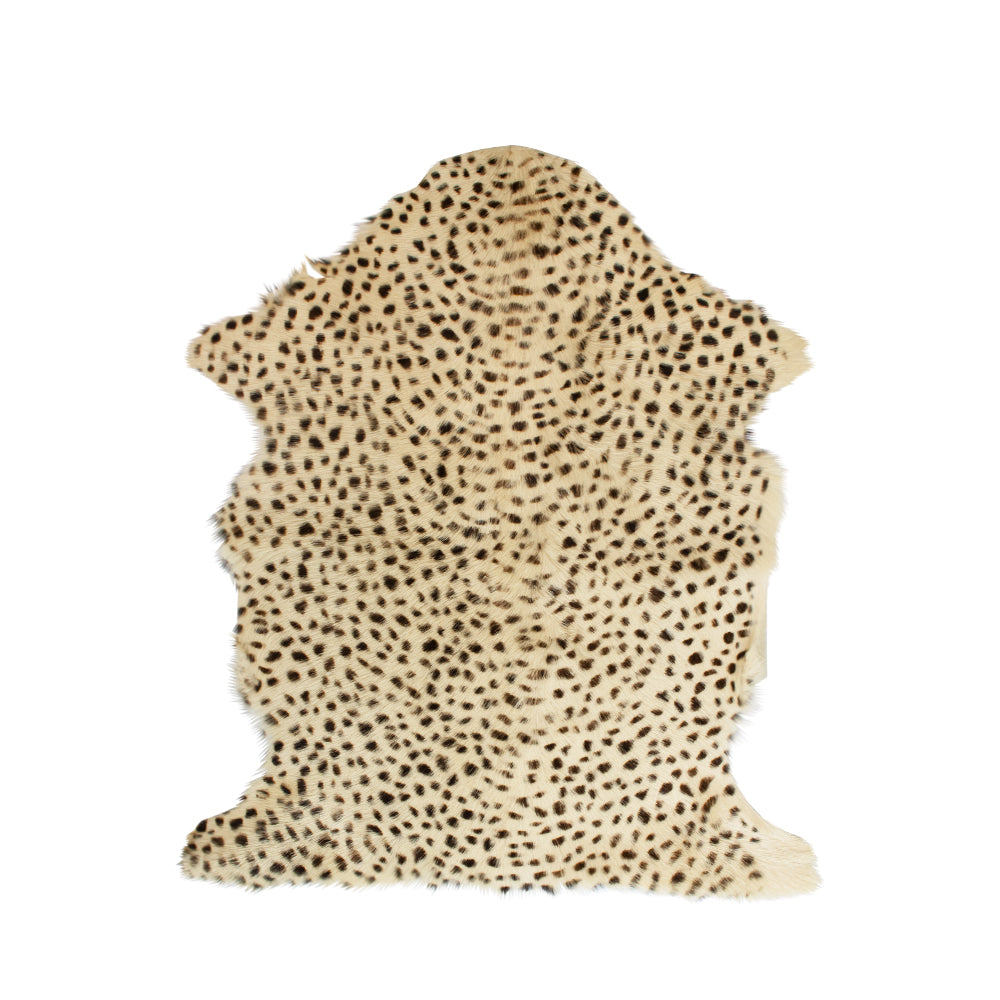 Fell Ziege 60 x 90cm