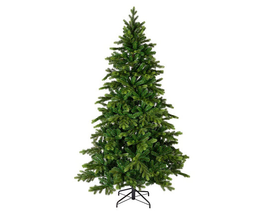 Galloway Spruce Weihnachtsbaum, Ve. 1Stk