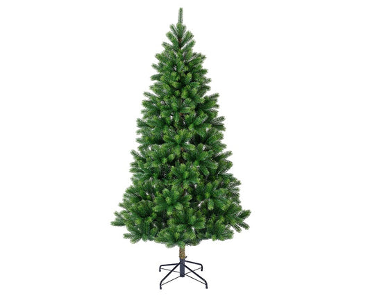 Kenmore Tanne Weihnachstbaum, Ve. 1 Stk