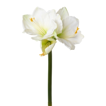 Amaryllis, real Touch, 68cm, Ve. 1 Stk