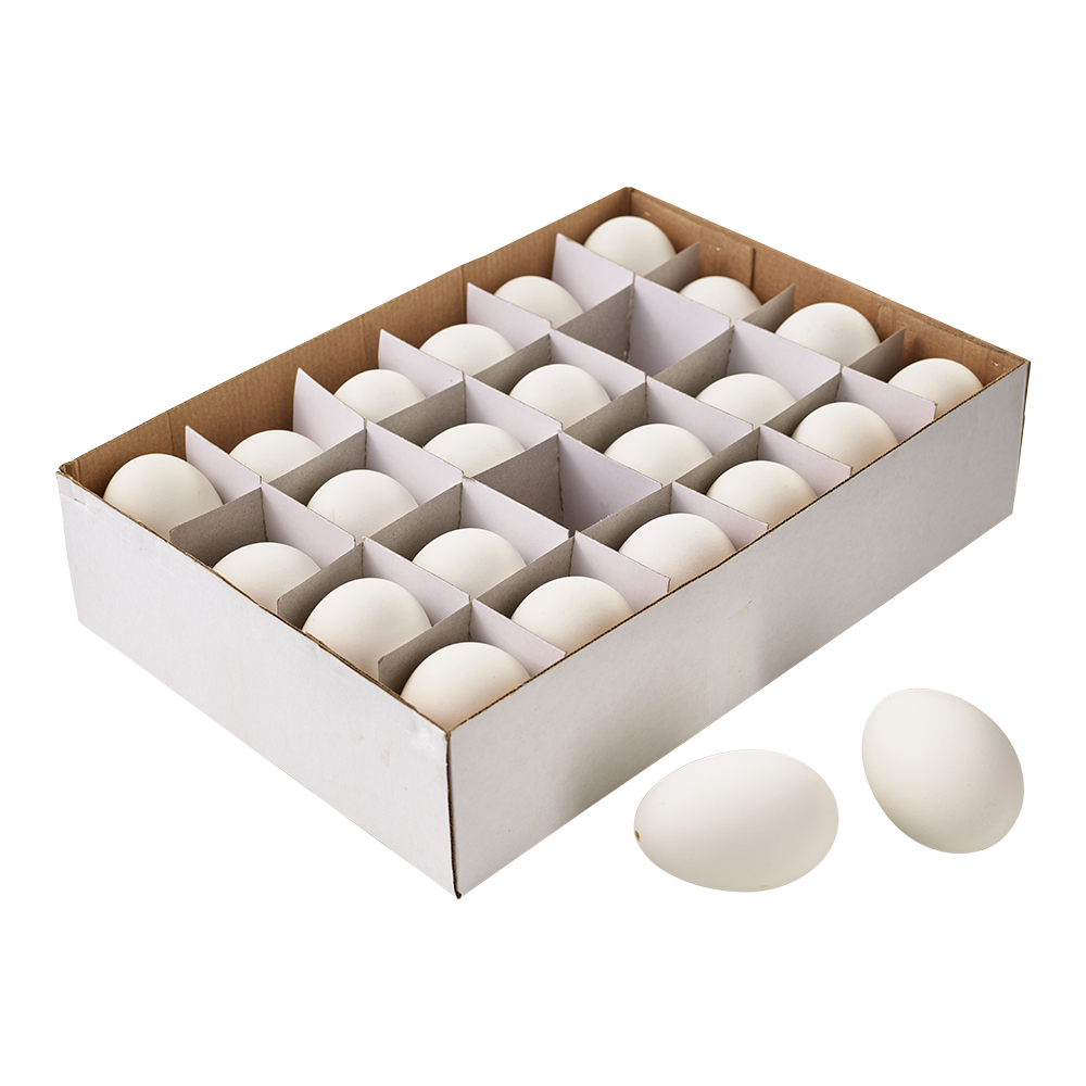 Gänse Eier, Ve.1 Box a 24 Stück (#160425000)