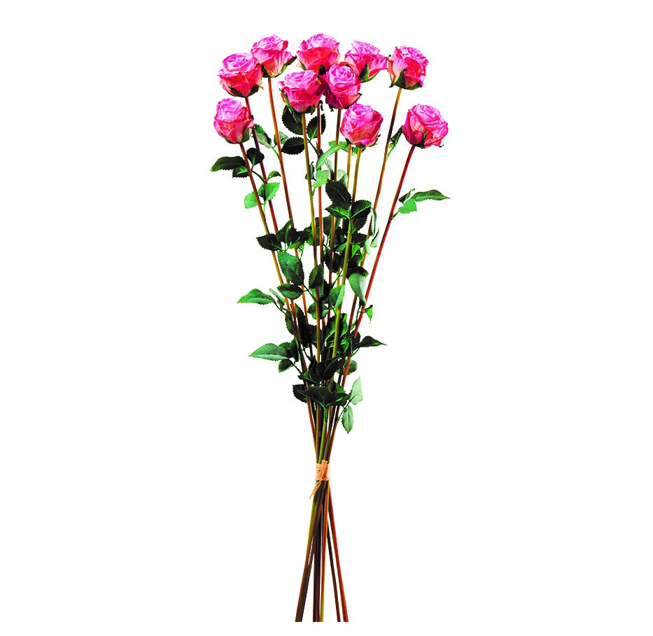 10 Rosen im Bund L78cm, Ve. 1 Bund (#190431498)
