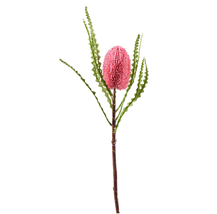 Banksia Zweig L78cm, Ve. 1 Stk (#190563060)