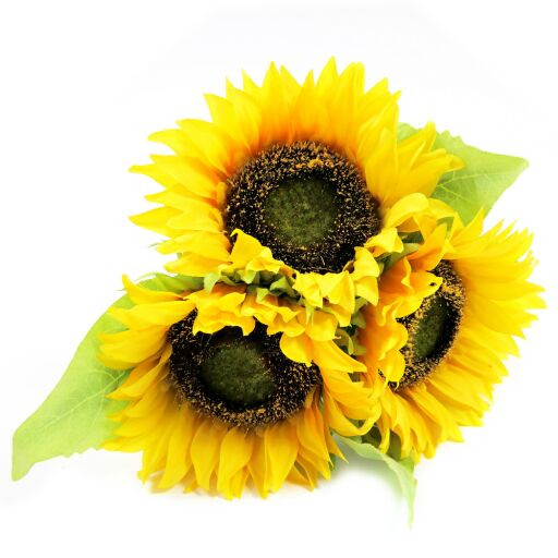 3 Sonnenblumen mit Raffia gebunden (#181540016)