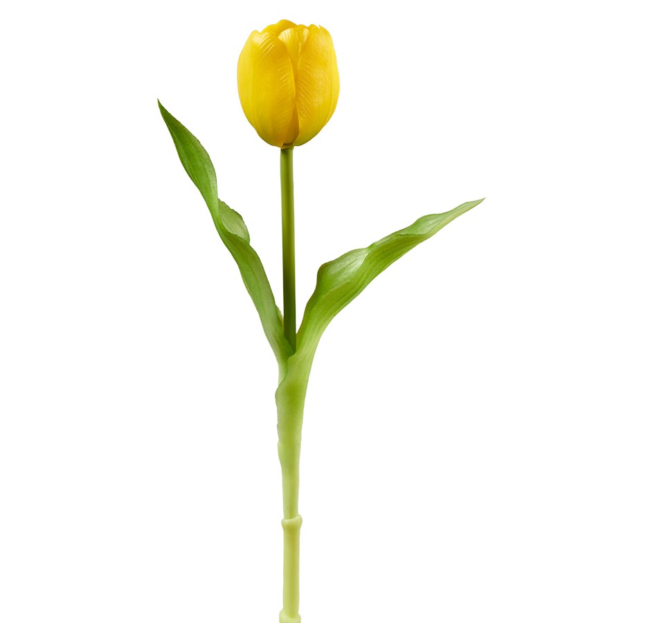 Tulpe 29cm, Ve. 4 Stk im Beutel (#190621016)