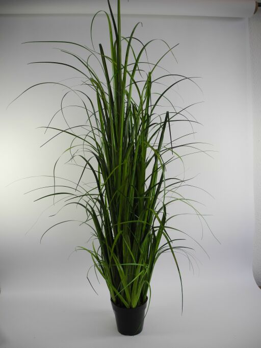 Gras im Platasiktopf mit Moos H190cm (#194465000)