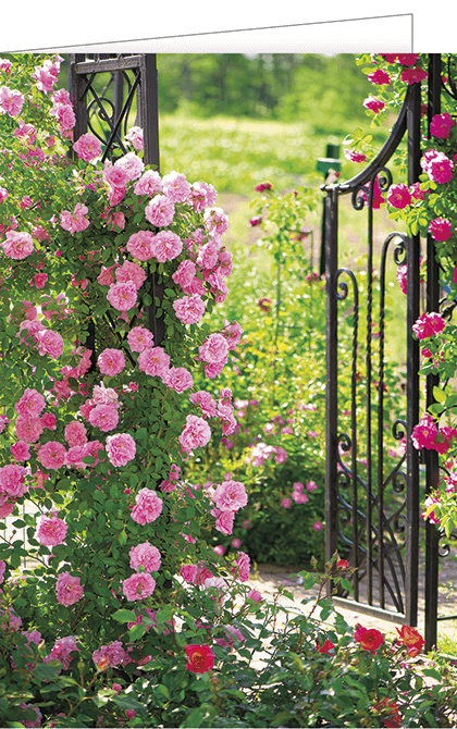Garten Tor mit Rosen, 11,5 x 17cm