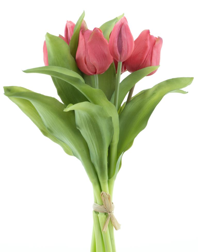 Tulpenbündel 31cm, rosa, Ve. 1 Bund