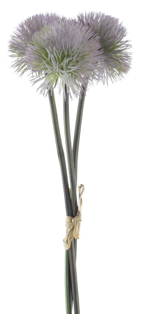 Celosia-Bund, 35cm, lila, Ve. 1 Bund