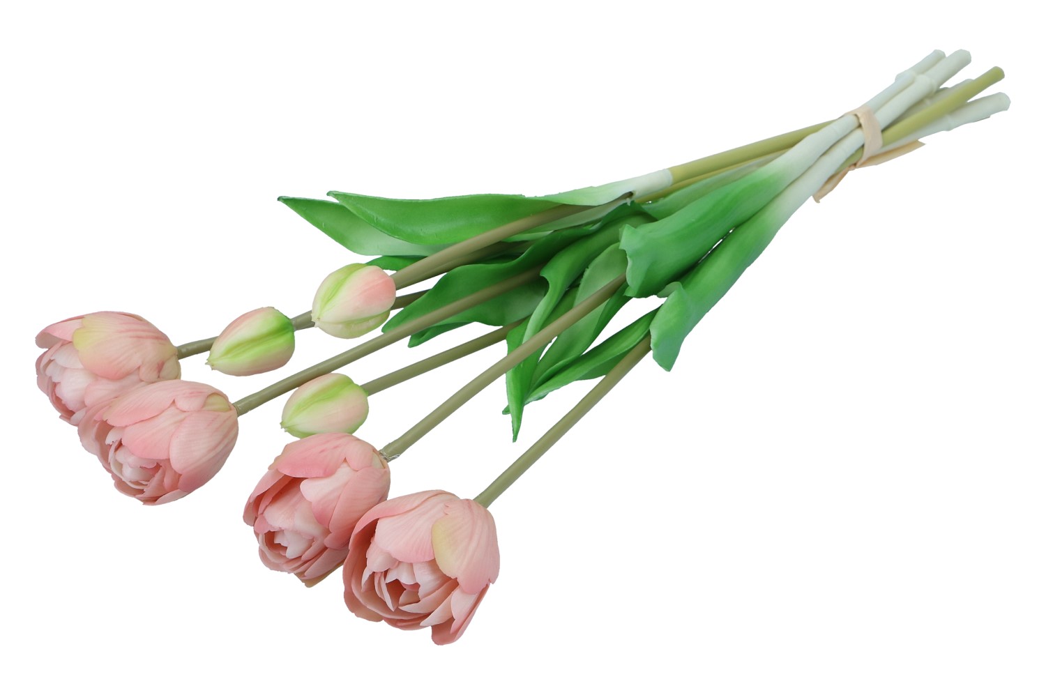 Tulpen im Bund 44cm,  Ve. 1 Bund = 7 Stk