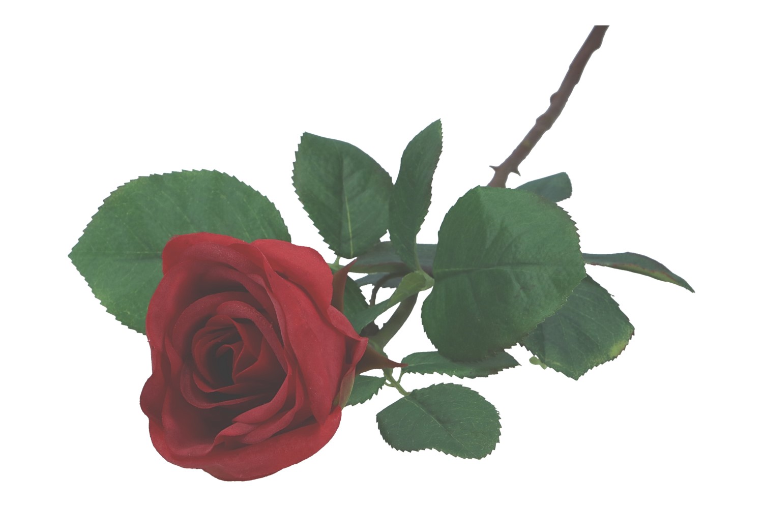 Rose 95cm, 1 Stück