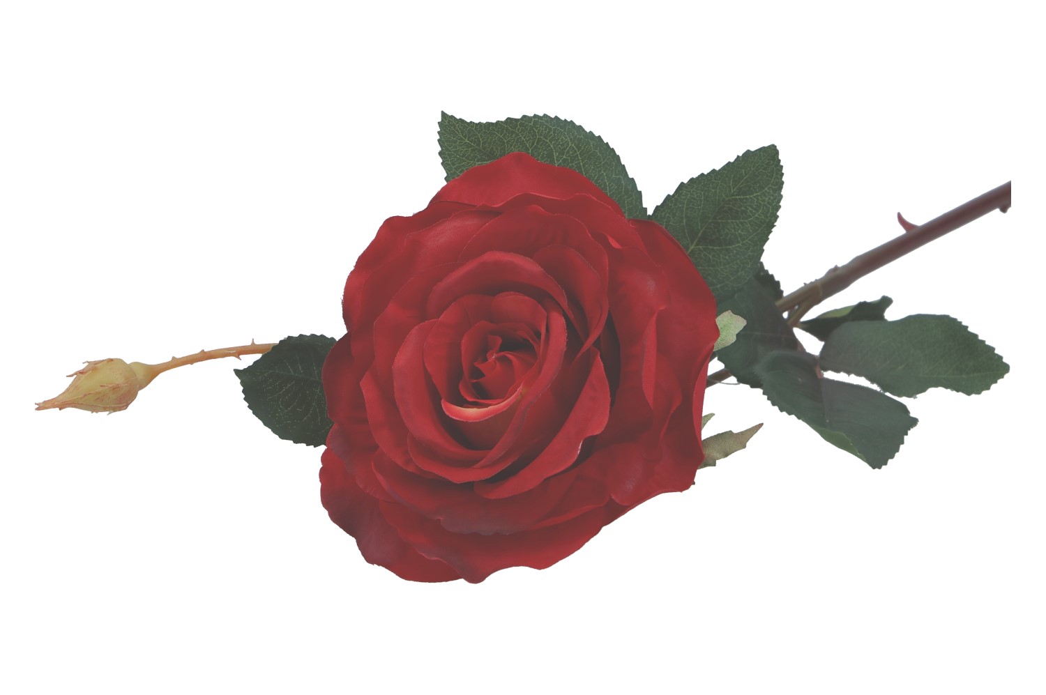 Rose mit Knospe 70cm, 1 Stück